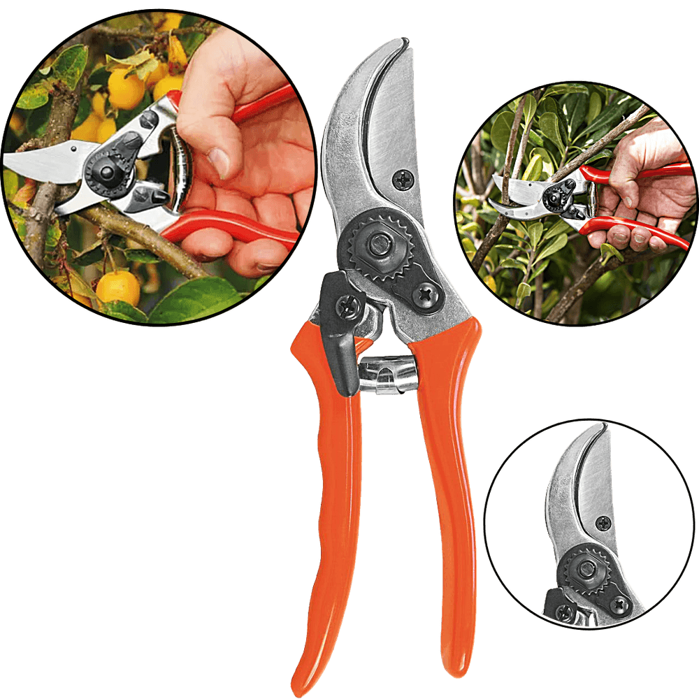 00052384-1 00052384-1